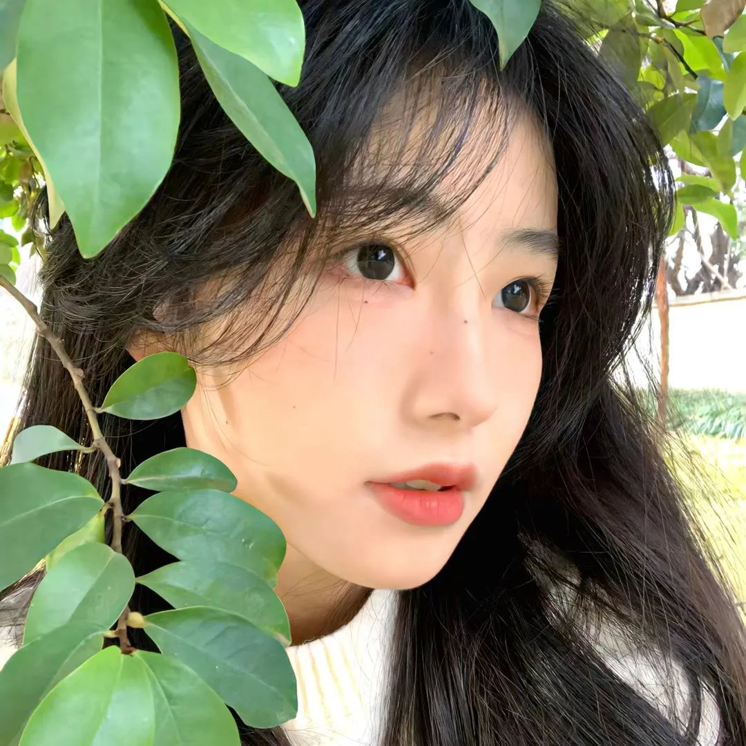 小宝与康熙